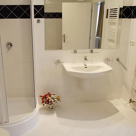 Pension-apartmany Cesky Dvur Mariánské Lázně